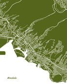 Honolulu City Street Map Print Feature Wall Art Poster