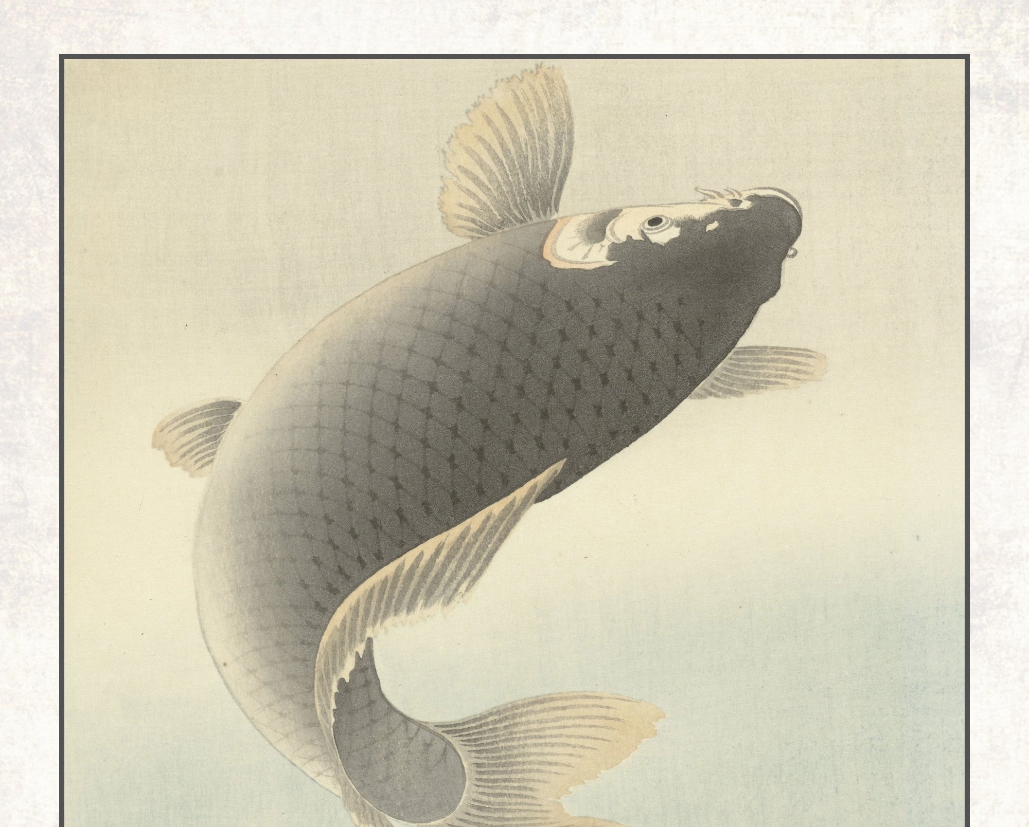 Ohara Koson Japanese Fine Art Print, Jumping Carp