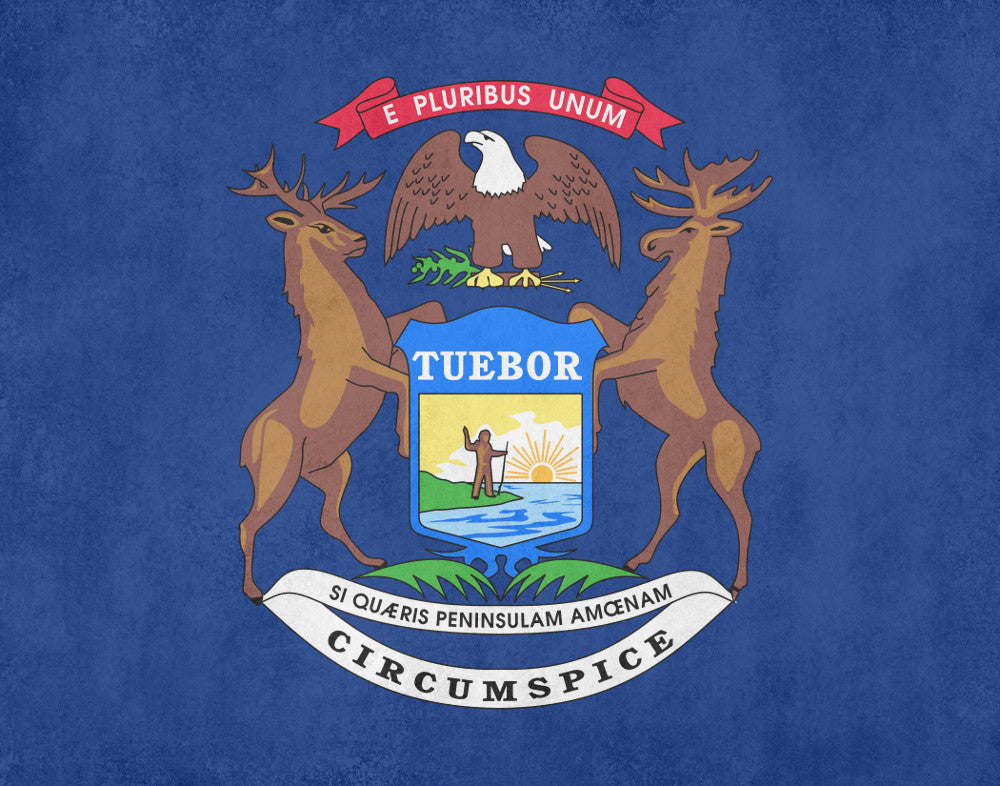 Michigan State Flag Print