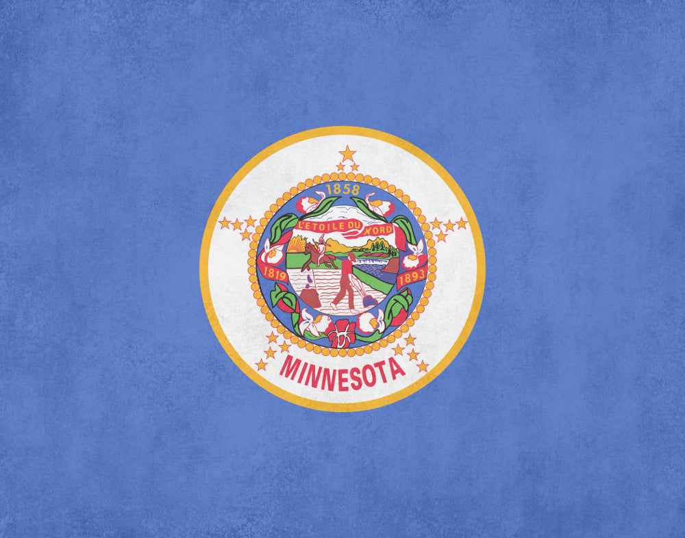 Minnesota State Flag Print