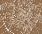Modena, Italy City Street Map Print Feature Wall Art Poster