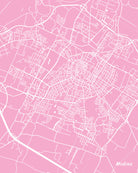 Modena, Italy City Street Map Print Feature Wall Art Poster