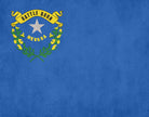 Nevada State Flag Print