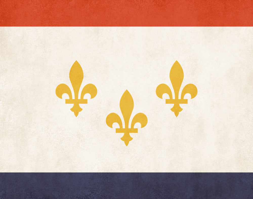 New Orleans Louisiana City Flag Print
