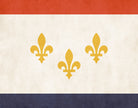New Orleans Louisiana City Flag Print