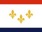 New Orleans Louisiana City Flag Print
