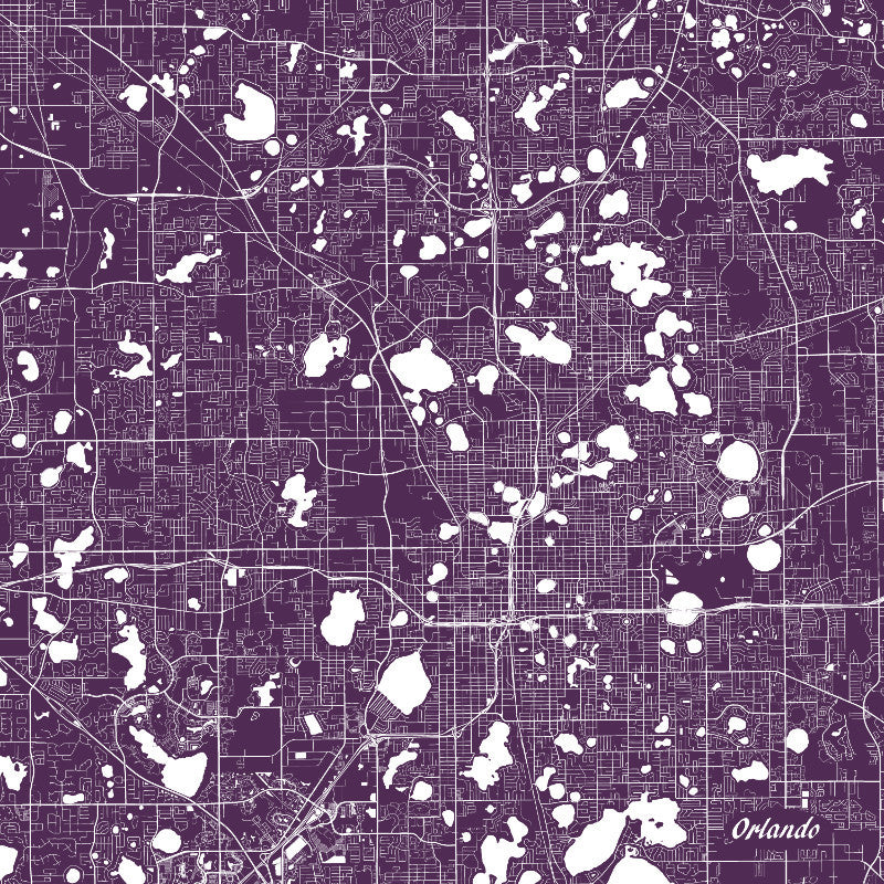 Orlando, Florida City Street Map Print Custom Wall Map