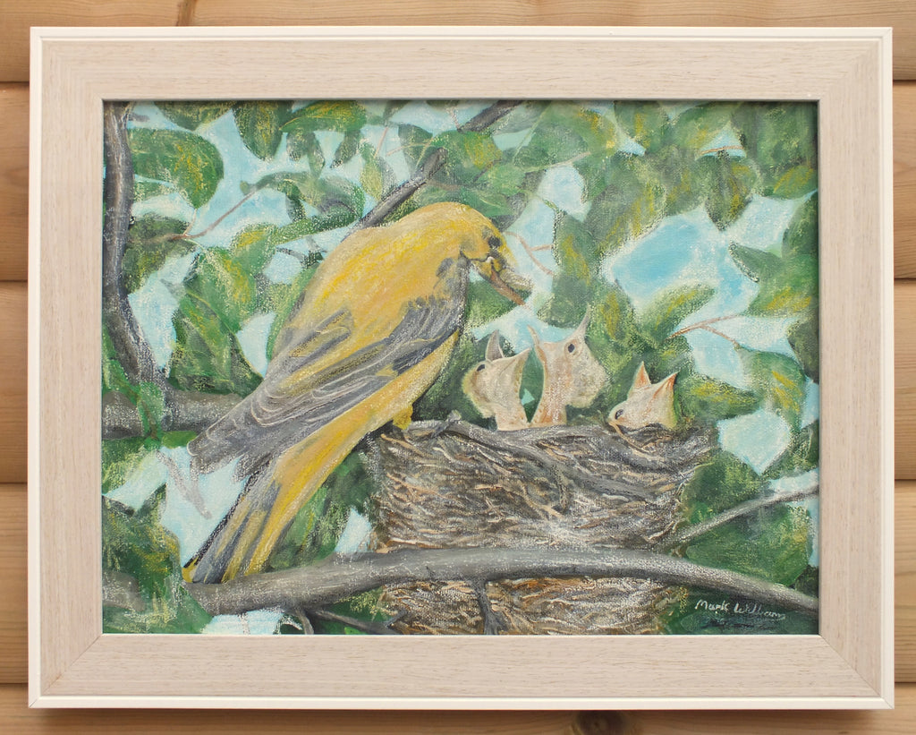 Golden Oriole, Original Oil Painting Birds Nest Signed, Framed