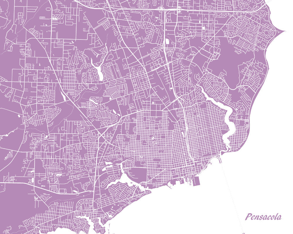 Pensacola, Florida City Street Map Print Feature Wall Art Poster