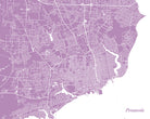 Pensacola, Florida City Street Map Print Feature Wall Art Poster