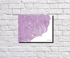 Pensacola, Florida City Street Map Print Feature Wall Art Poster