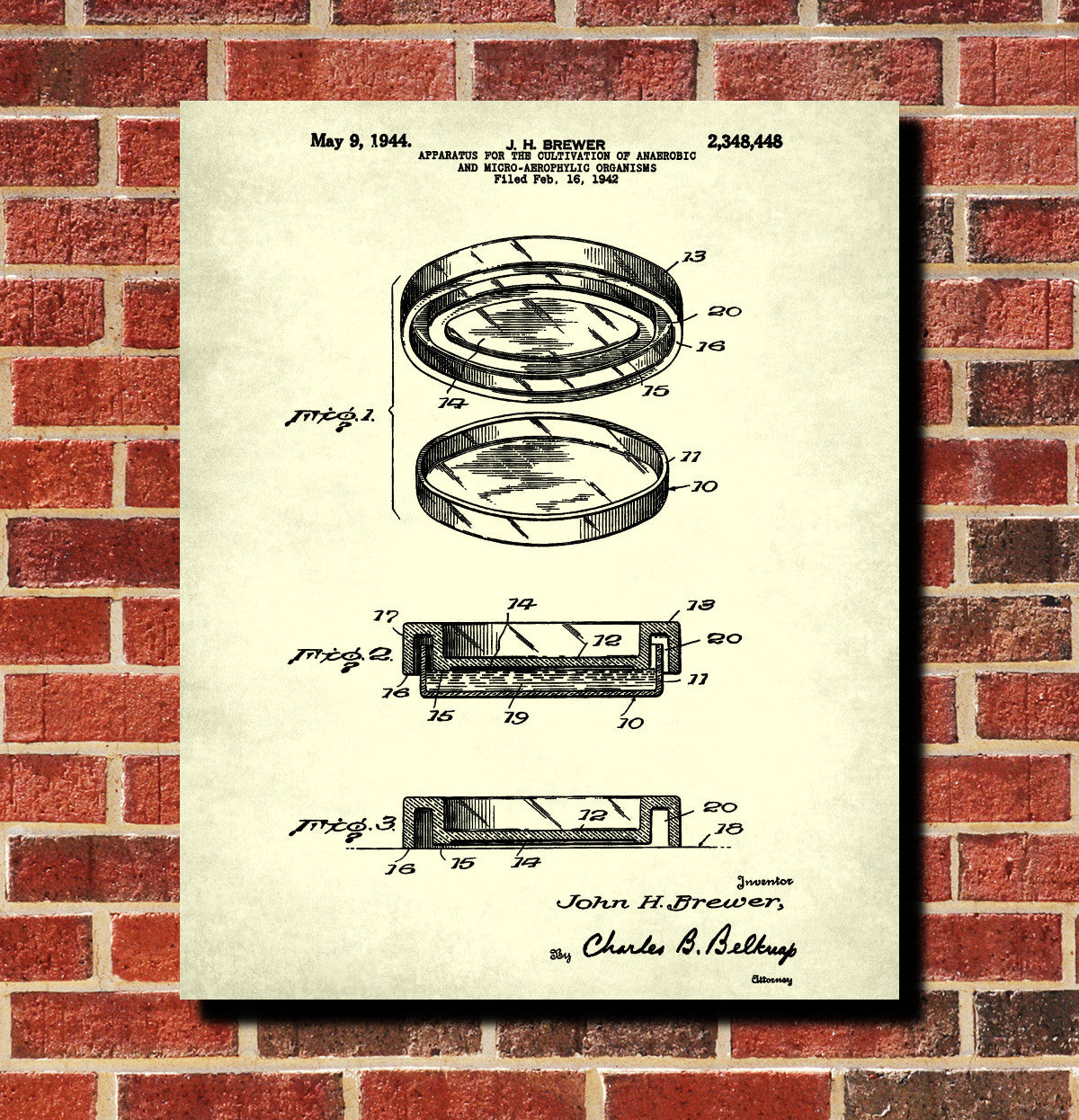 Laboratory Equipment Patent, Science Poster, Petri Dish Print