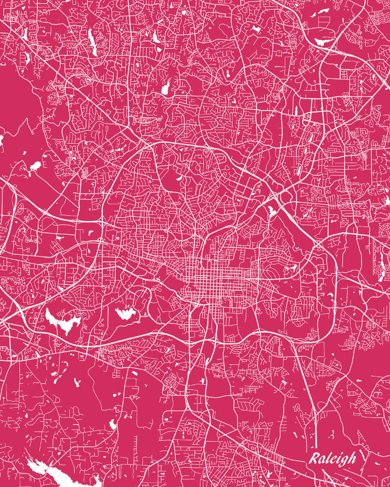Raleigh City Street Map Print Custom Wall Map - OnTrendAndFab