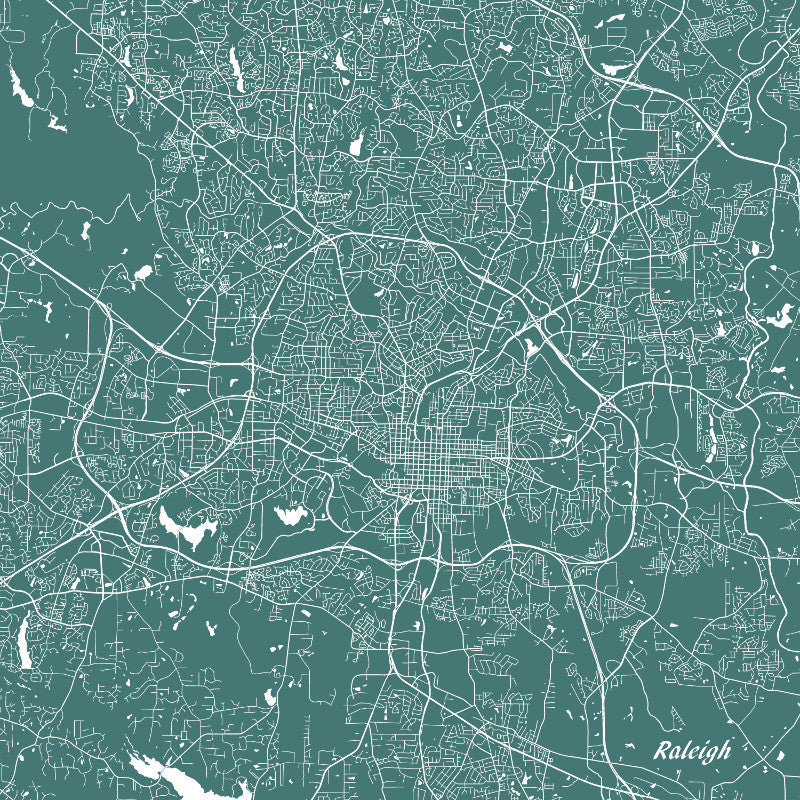 Raleigh City Street Map Print Custom Wall Map - OnTrendAndFab