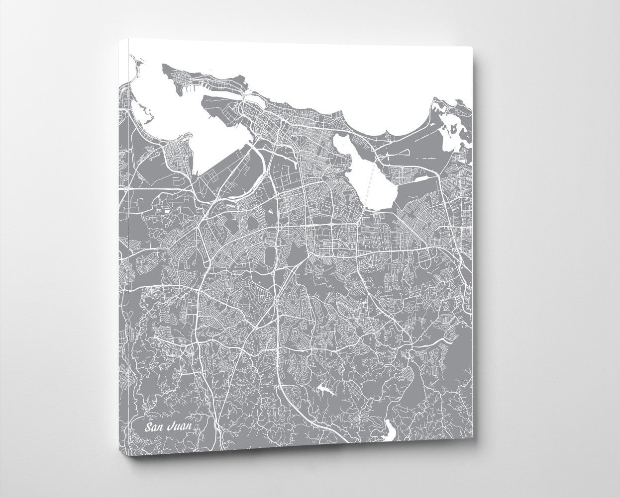 San Juan, Puerto Rico City Street Map Print Custom Wall Map