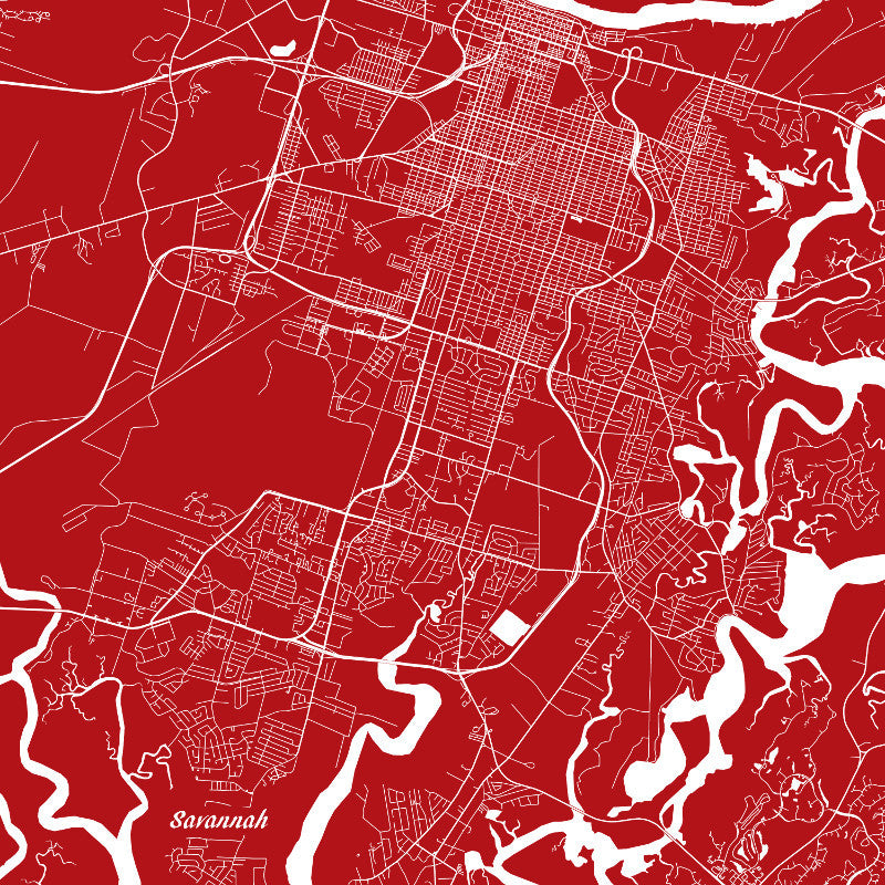 Savannah, Georgia City Street Map Print Custom Wall Map