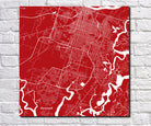 Savannah, Georgia City Street Map Print Custom Wall Map