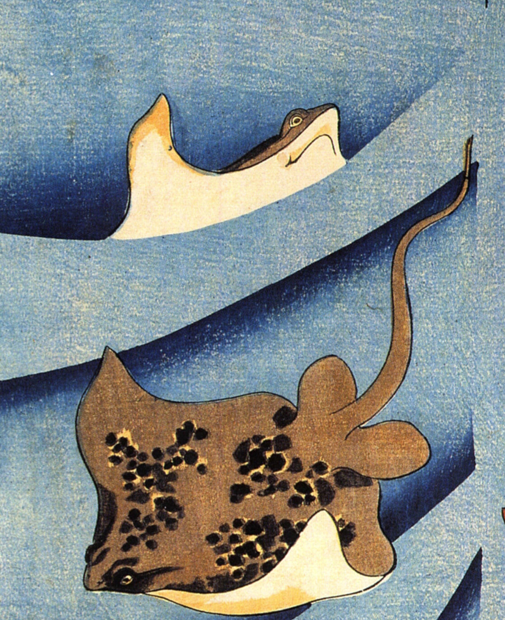 Utagawa Kuniyoshi, Japanese Fine Art Print, Stingrays