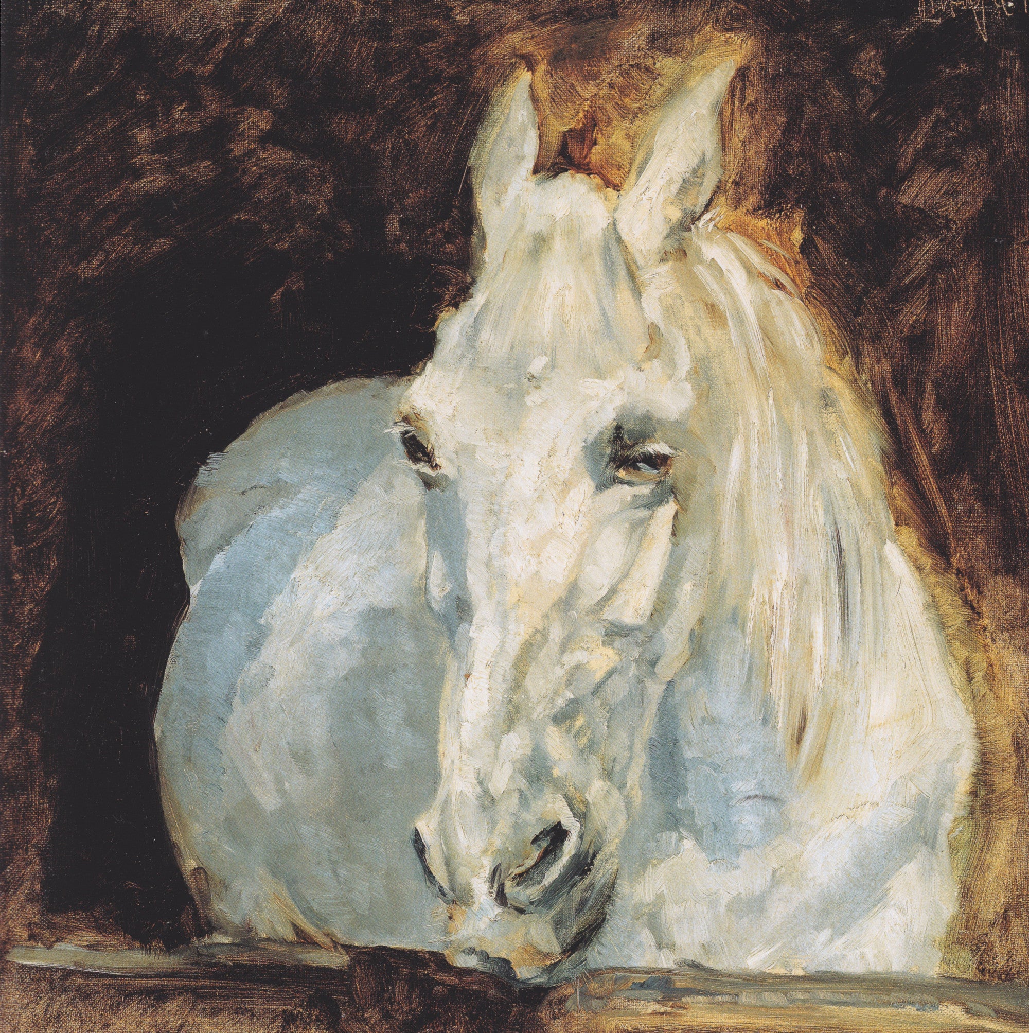 Henri de Toulouse-Lautrec Fine Art Print, The White Horse