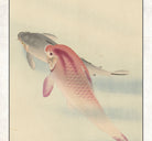 Ohara Koson Japanese Fine Art Print, Two Carp