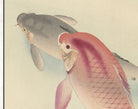 Ohara Koson Japanese Fine Art Print, Two Carp