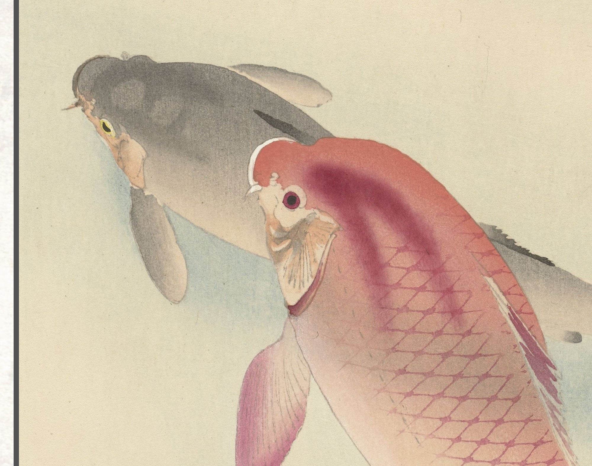 Ohara Koson Japanese Fine Art Print, Two Carp