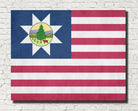 Vermont State Flag Print
