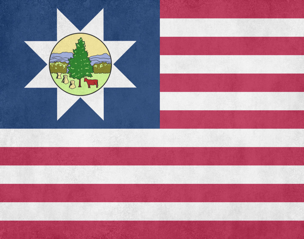 Vermont State Flag Print