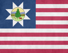 Vermont State Flag Print