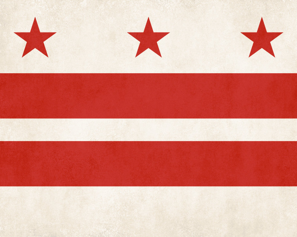 Washington DC Flag Print