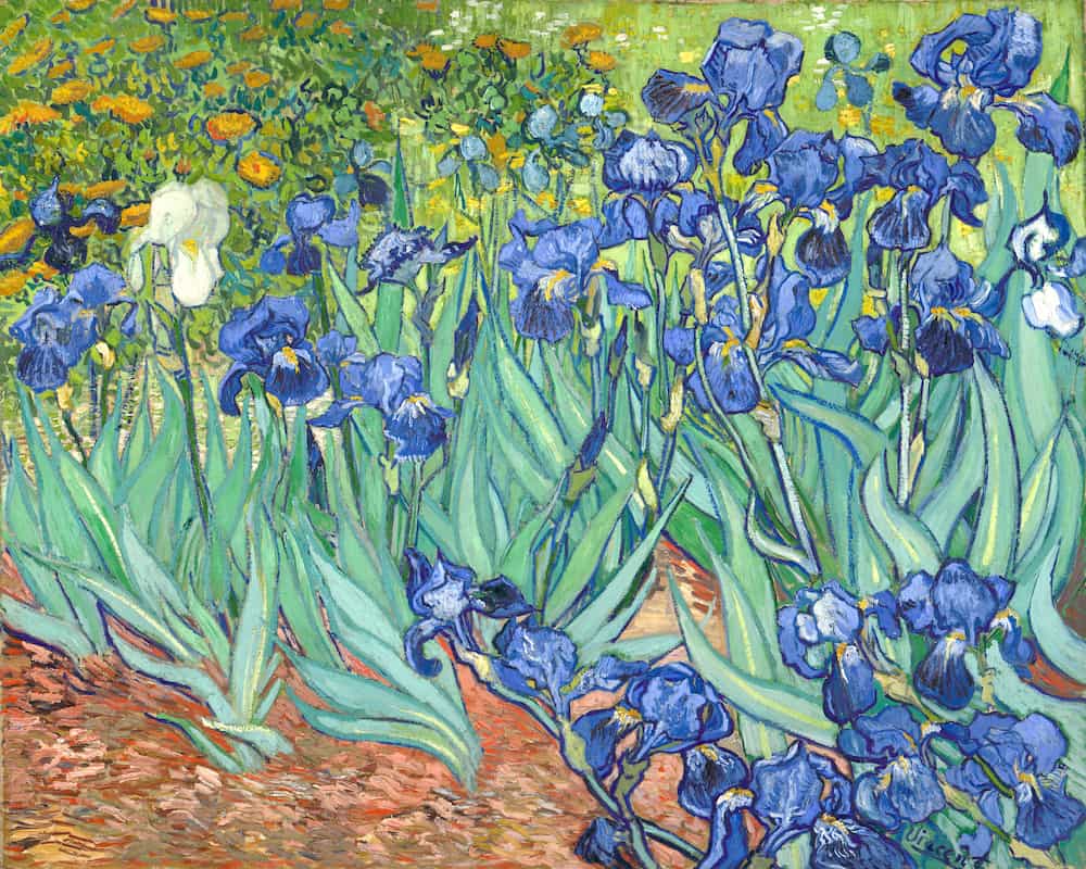 Irises, Vincent van Gogh