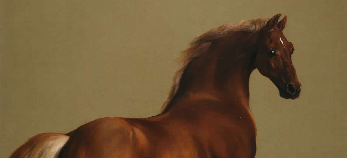 George Stubbs paintings