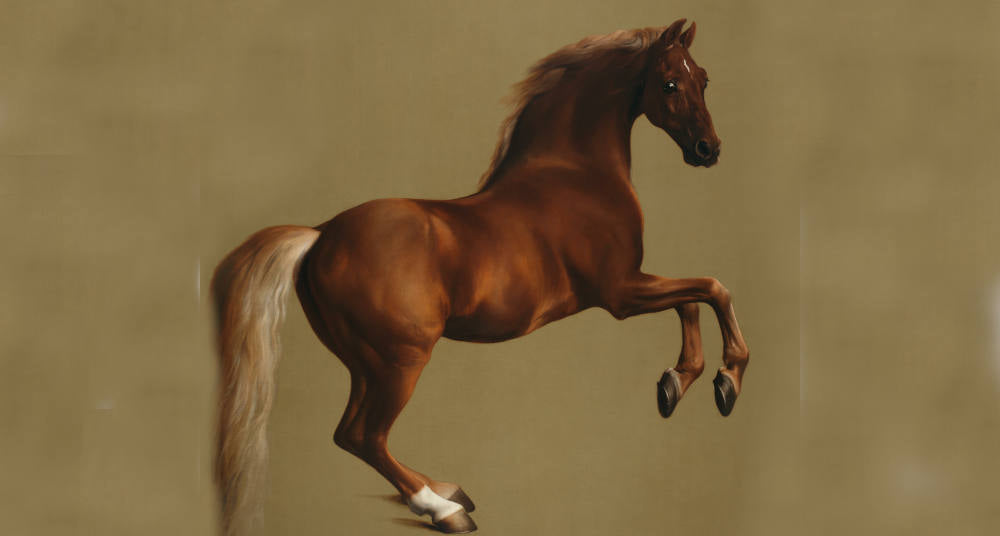 Equestrian Wall Art - George Stubbs, Whistlejacket