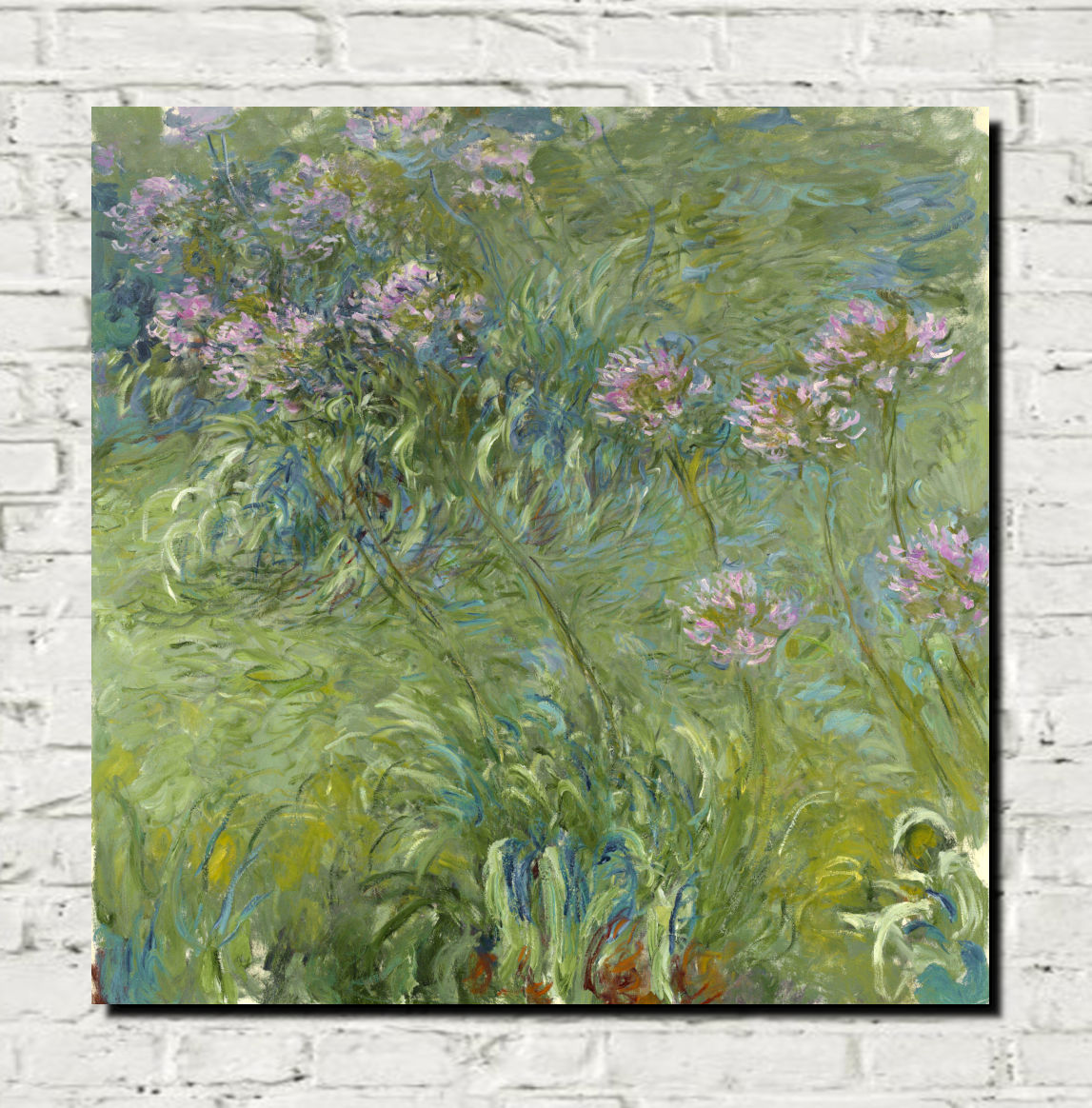 Agapanthus, Claude Monet Print