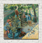 Camille Pissarro Print, Apple Picking