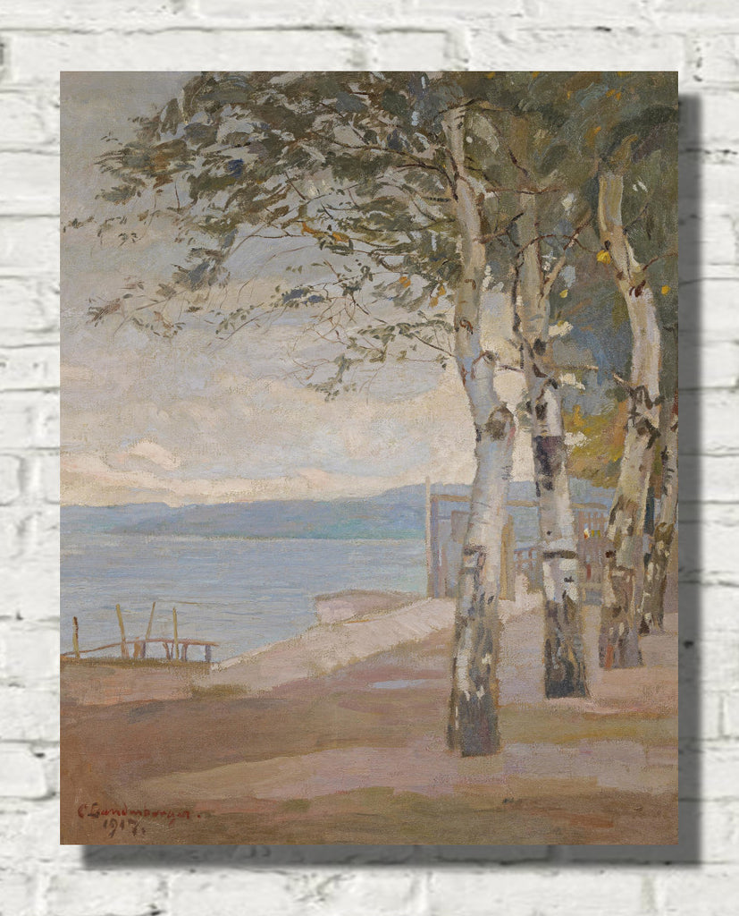 Birch trees on the lake shore by Christian Landenberger