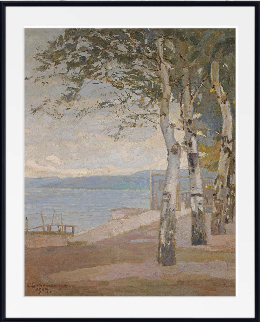 Birch trees on the lake shore by Christian Landenberger
