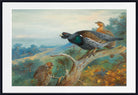 Capercaillie, Archibald Thorburn, Birds Print