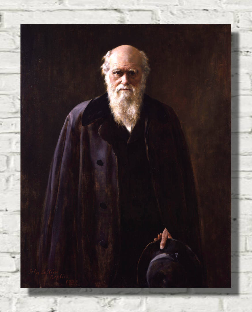 John Collier Print, Charles Darwin Portrait