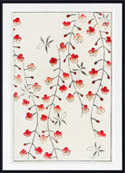 Framed botanical art print featuring delicate red and pink flowers with green leaves on a cream background, enclosed in a black frame with a white mat.
