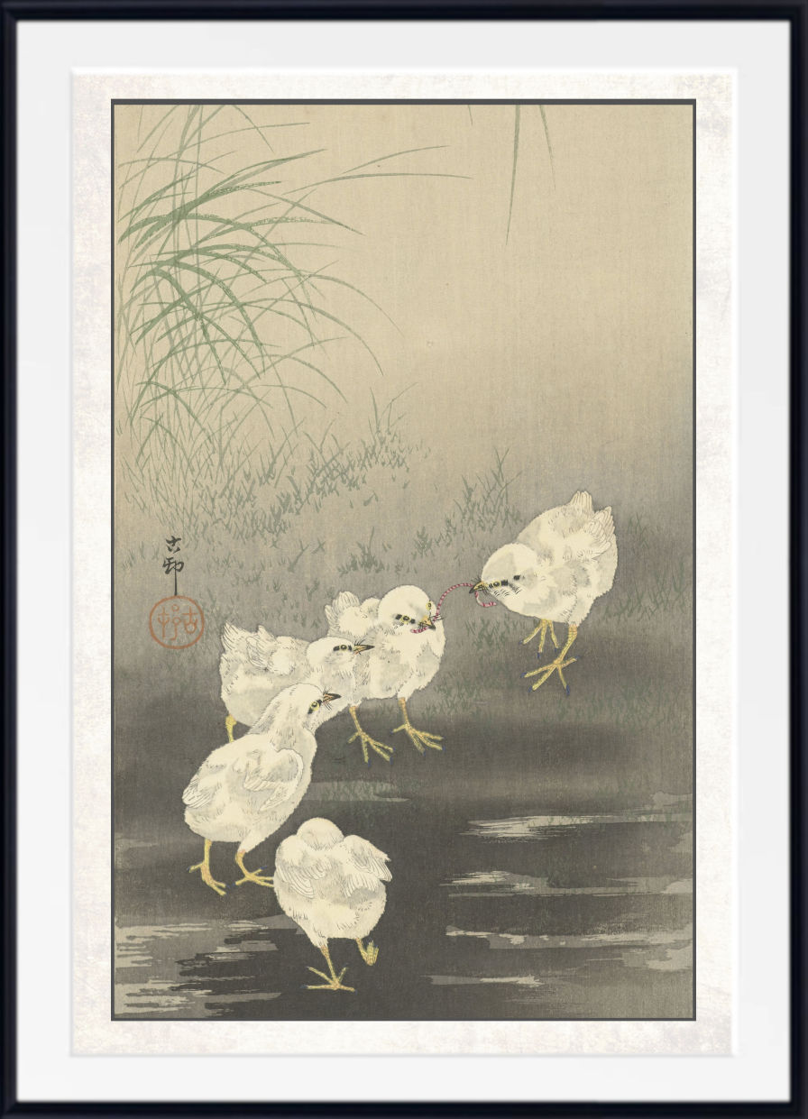 A framed Japanese-style art print depicting five white chicks near shallow water with reeds in the background, shown against a white mat and black frame.