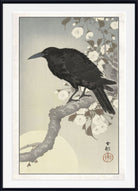 A framed Japanese-style art print featuring a black raven perched on a branch with white blossoms against a pale background, shown with a wide white mat and black frame.