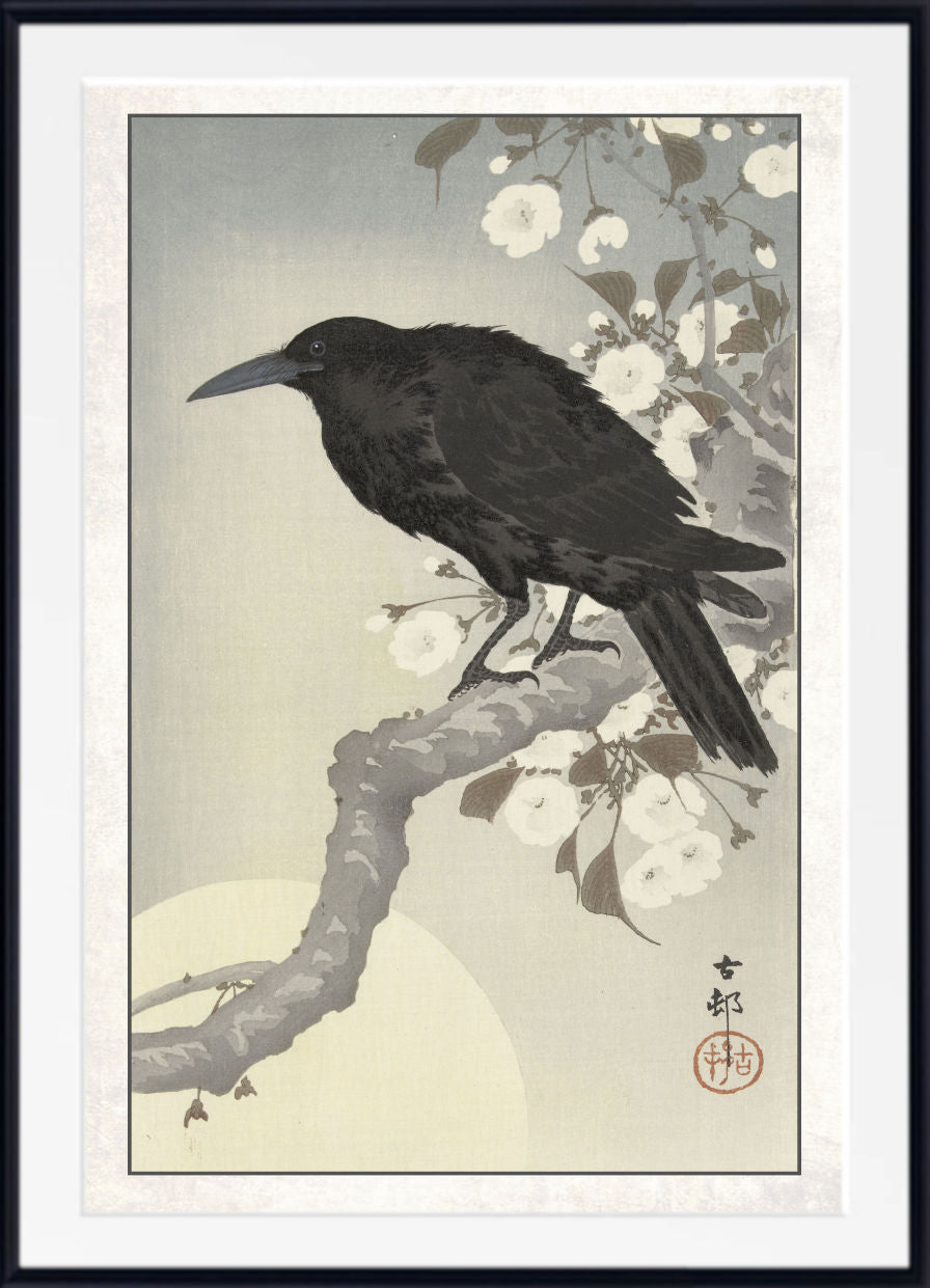 A framed Japanese-style art print featuring a black raven perched on a branch with white blossoms against a pale background, shown with a wide white mat and black frame.
