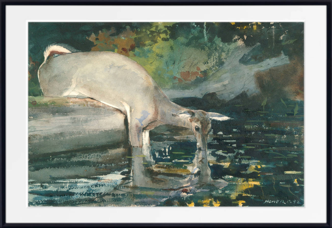 Winslow Homer Fine Art Print :  Deer Drinking