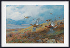 Driven Grouse, Archibald Thorburn, Birds Print