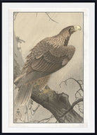 A framed Japanese-style art print depicting a large eagle perched on a tree branch, with a white mat and black frame.