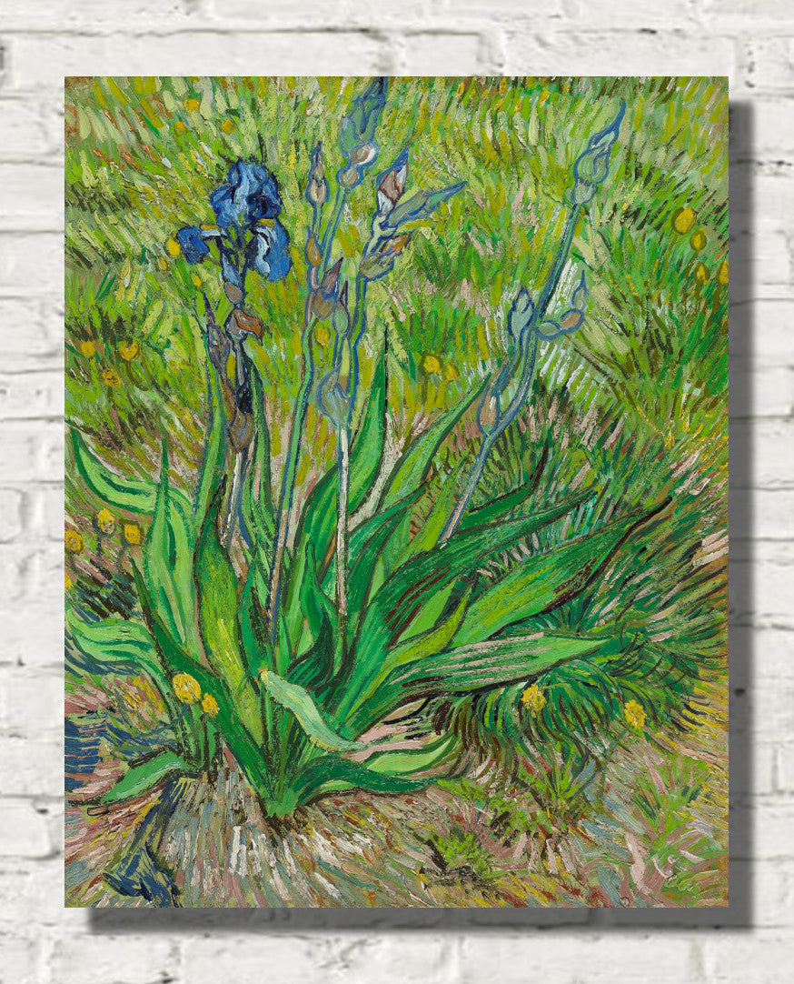 Iris (1889) by Vincent van Gogh