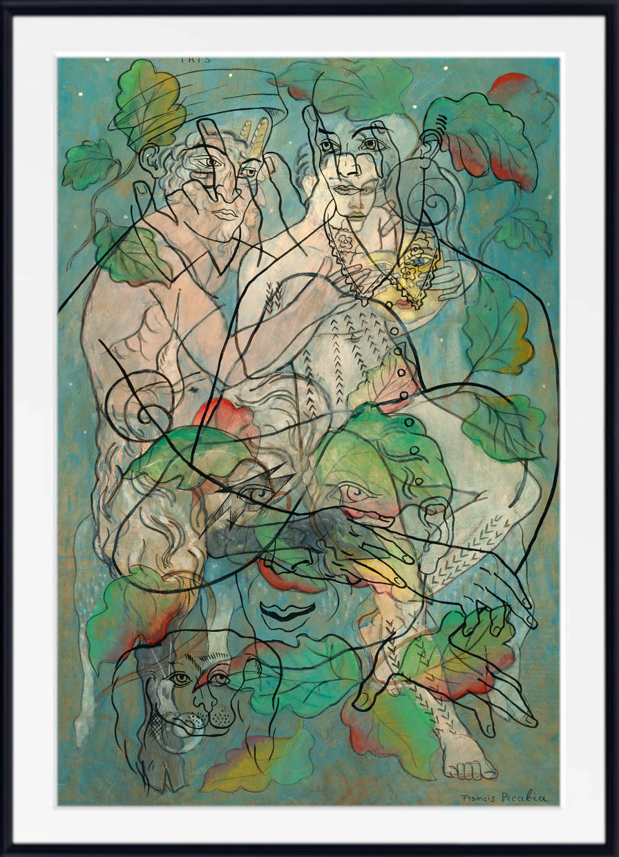 Iris, Francis Picabia Transparencies Series