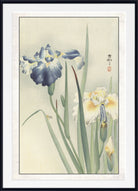 A framed Japanese-style floral print featuring blue and white irises on a pale cream background, with a white mat and black frame.