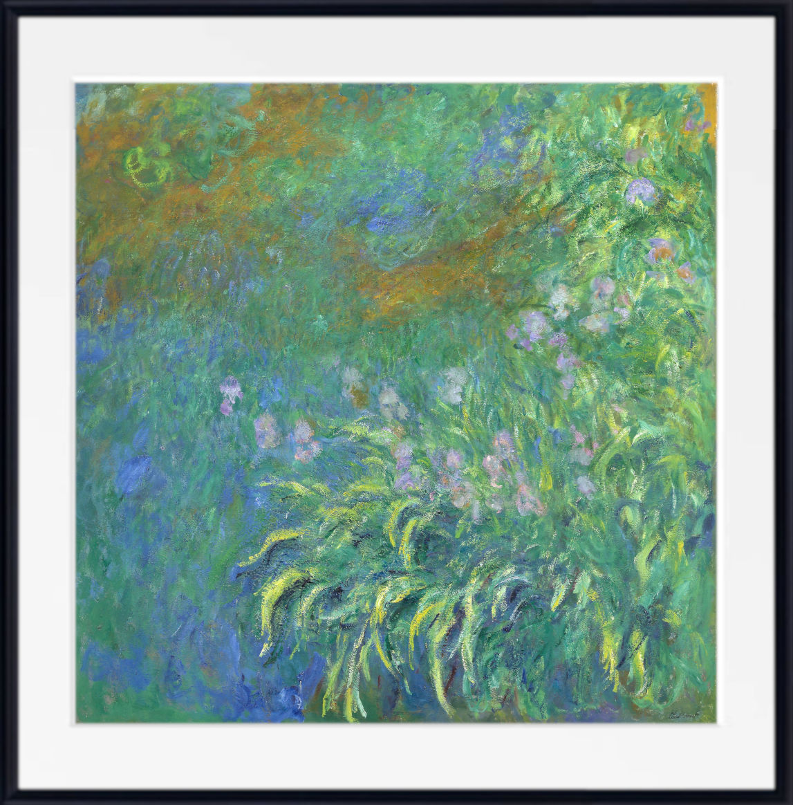 Claude Monet Irises (1914–17) – Fine Art Prints &amp; Canvas Panels